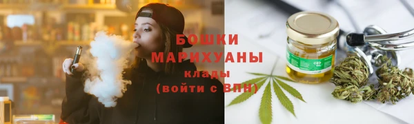 PSILOCYBIN Валуйки
