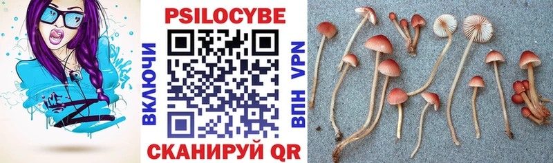 Галлюциногенные грибы GOLDEN TEACHER  Гаджиево 