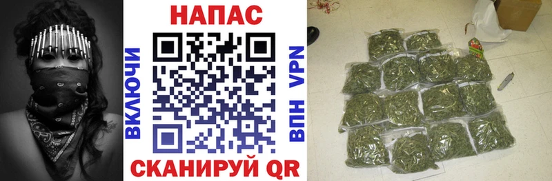 закладки  Гаджиево  Марихуана сатива 